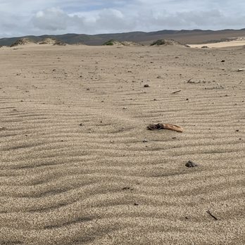 Rancho Guadalupe Dunes Preserve - Dunes - Beaches Near Me - Guadalupe, California Rancho Guadalupe Dunes Preserve - Dunes - Beaches Near Me - Guadalupe, California