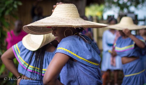 Tap Tap Tours & Transportation LLC by null