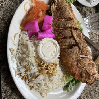 Beirut Restaurant - Red Snapper - Middle Eastern Near Me - Romulus, Michigan