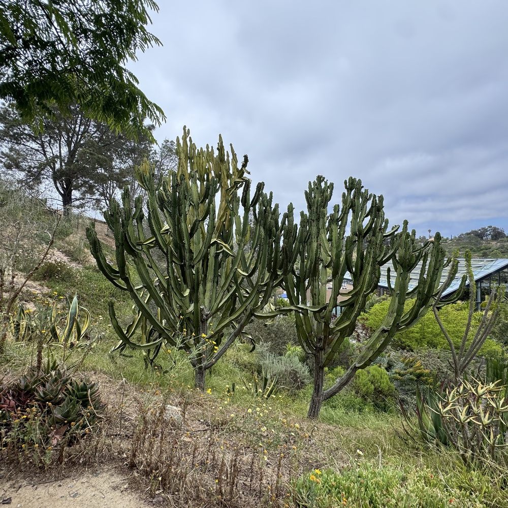 San Diego Botanic Garden - Botanical Gardens Near Me - Encinitas, California