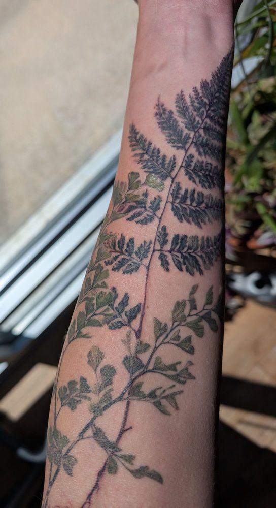 Heidi Faye Tattoos Logo