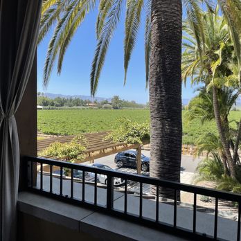Round Pond Estate Winery - Veranda - Wineries Near Me - Rutherford, California Round Pond Estate Winery - Veranda - Wineries Near Me - Rutherford, California