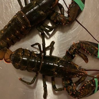 Aqua Best - two lobsters in a sink - Seafood Markets Near Me - New York, New York
