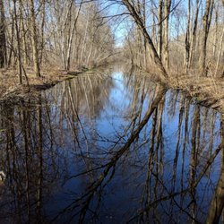Bishop's Bog Preserve Trail