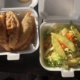 Vegetable Gyoza and Salad with ginger dressing - the best appetizers