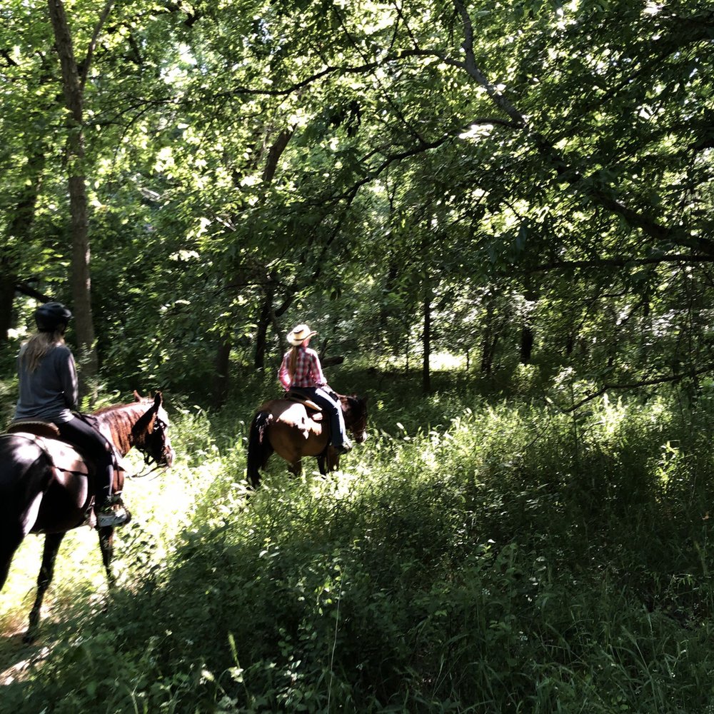 Texas Trail Rides - Horseback Riding Near Me - Austin, Texas Texas Trail Rides - Horseback Riding Near Me - Austin, Texas