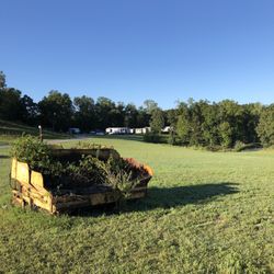 Lazy Acres - View across property from office.