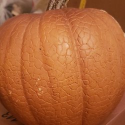 Horror Trails - Before and After pictures