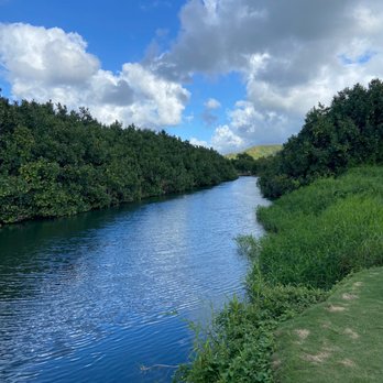 The Dolphin - River view from restaurant - Seafood Markets Near Me - Hanalei, Hawaii