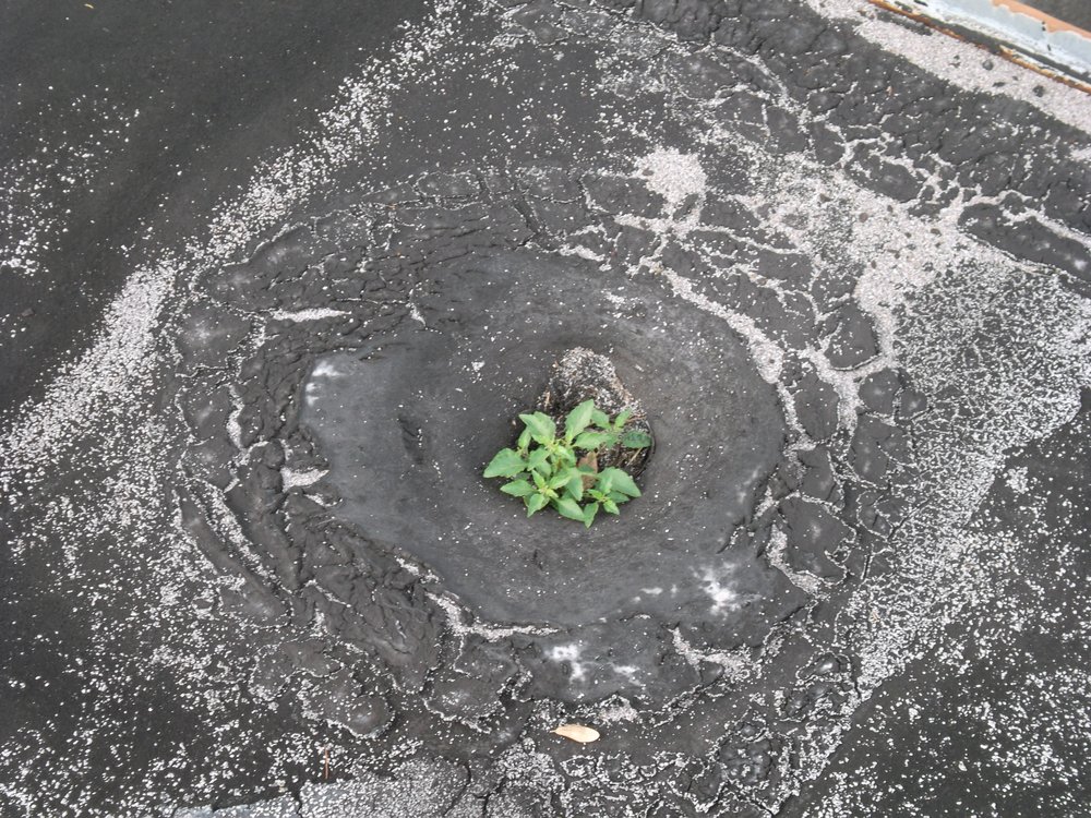 Slide of Southern Certified