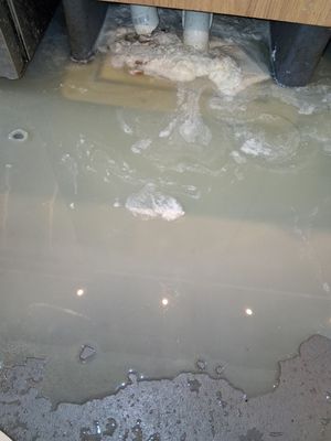 Helenas Drain Doctor