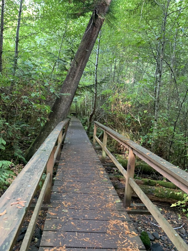 MATHESON LAKE REGIONAL PARK 14 Photos Matheson Lake Park Road