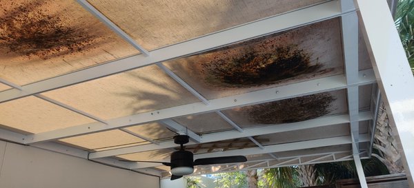 The Sarasota Modern, a Tribute Portfolio Hotel by null