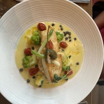 OLIVIA - Halibut - Italian Near Me - Tampa, Florida