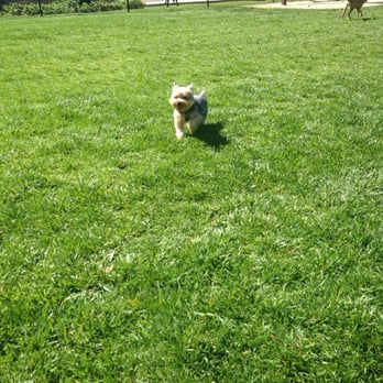 South Hills Dog Park - Having fun! - Dog Parks Near Me - Glendora, California South Hills Dog Park - Having fun! - Dog Parks Near Me - Glendora, California