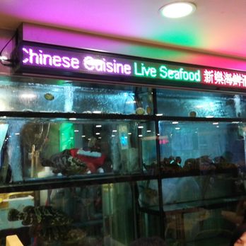 新新酒樓 - Cantonese Near Me - Hong Kong, HK
