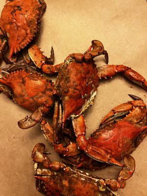 Cantler's Riverside Inn by null Cantler's Riverside Inn by null