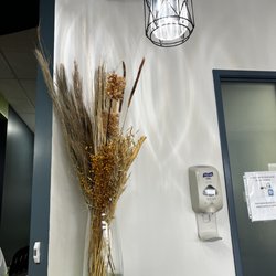 KM Dental Specialists