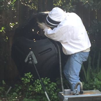 Houston Bee Removal - Pest Control Near Me - Spring, Texas Houston Bee Removal - Pest Control Near Me - Spring, Texas