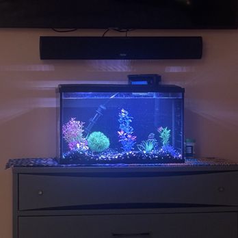 PetSmart - Glofish Tank - Pet Training Near Me - Marietta, Georgia PetSmart - Glofish Tank - Pet Training Near Me - Marietta, Georgia