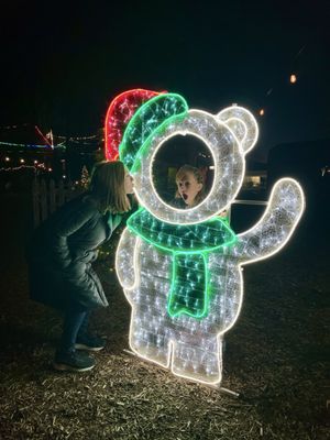 Asheville Treetops Adventure Park by null