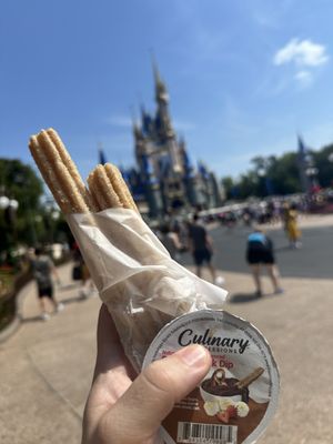 Magic Kingdom Park by null