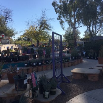 Harlow Gardens - Nurseries & Gardening Near Me - Tucson, Arizona
