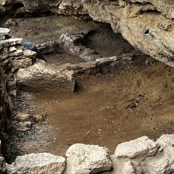 Montezuma Well - Landmarks & Historical Buildings Near Me - Rimrock, Arizona