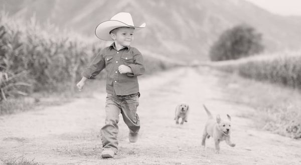 Coastal Farm & Ranch by null