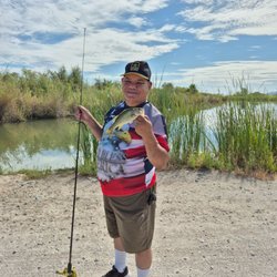 Mittry Lake - Caught a lg mouth bass on wacky rig