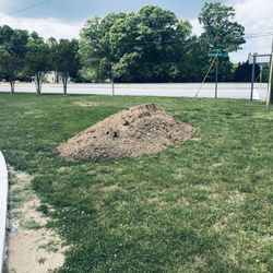 Bryant's Sentry Hardware Lawn & Garden