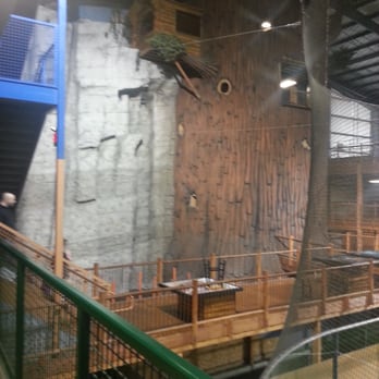 McDermont X - Rock wall - Rock Climbing Near Me - Lindsay, California