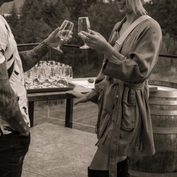 Sip Happens Wine Tours