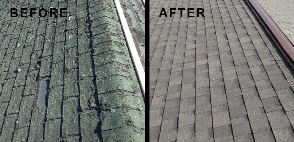 Slide of DB Roof Repairs