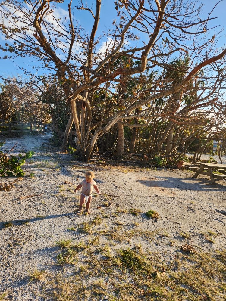 Slide of Raa Plumbing Extermination and More