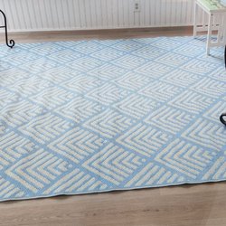 Ocean State Job Lot - The materials for our new laminate floor and this area rug all came from Ocean State Job Lot