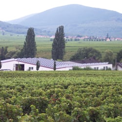 Weingut Braun & Sohn