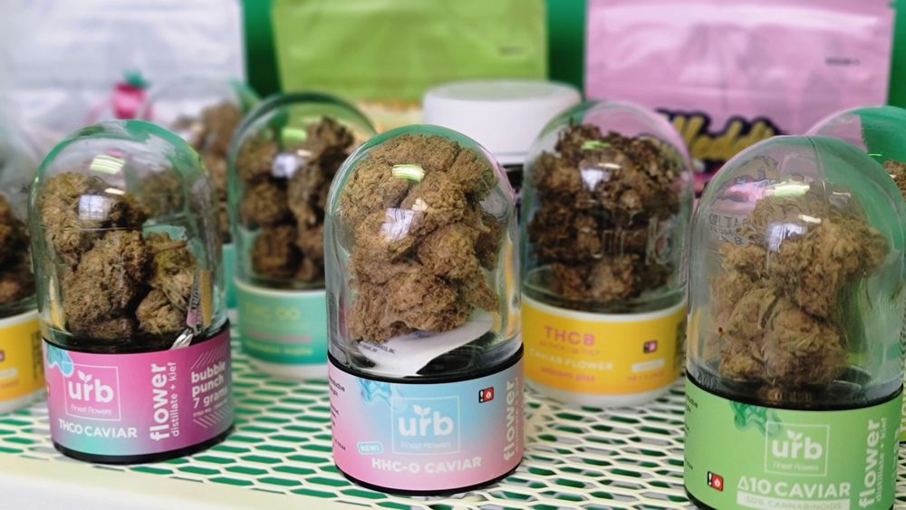 THE HEMPSTEAD 14 Photos 10606 Hempstead Rd, Houston, Texas