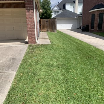 Burks Mowing - Nice cut and trim - Lawn Services Near Me - Houston, Texas Burks Mowing - Nice cut and trim - Lawn Services Near Me - Houston, Texas