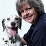 Photo of SIT STAY GOOD DOG
