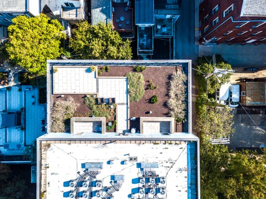 1111 Light Street Apartments by null