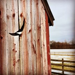 Learning Tree Farm Inc