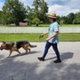 Desi's Dog Walking Service