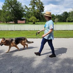 Desi's Dog Walking Service