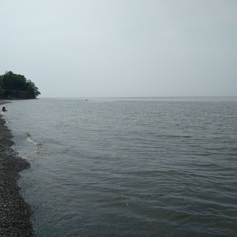 Wilson Tuscarora State Park - Beach time; swimming for some, treasure hunting for others. :-D - Parks Near Me - Wilson, New York Wilson Tuscarora State Park - Beach time; swimming for some, treasure hunting for others. :-D - Parks Near Me - Wilson, New York
