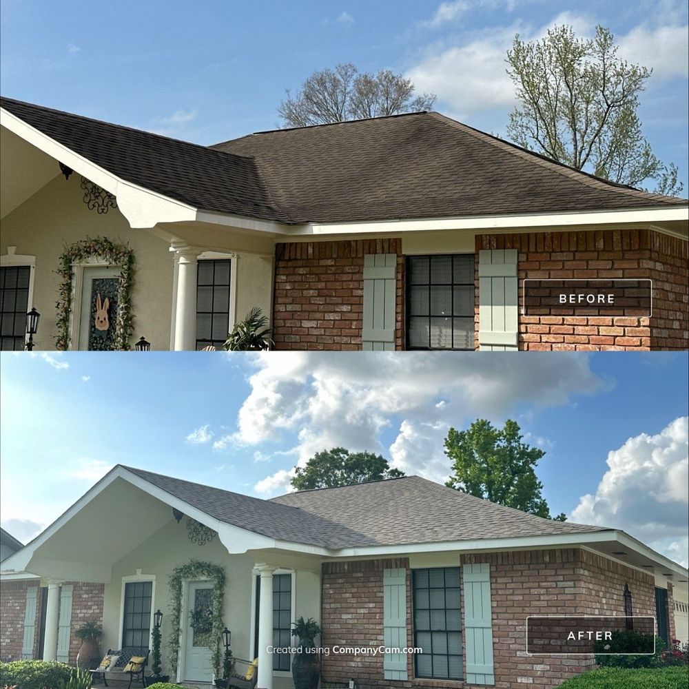 Slide of Roofelangelo