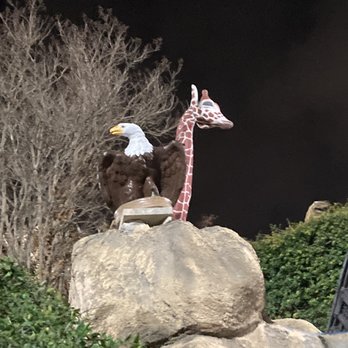Embassy Miniature Golf - Animals... everywhere - Mini Golf Near Me - San Antonio, Texas Embassy Miniature Golf - Animals... everywhere - Mini Golf Near Me - San Antonio, Texas