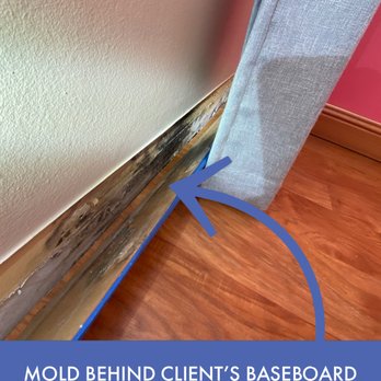 Air Quality Experts Mold Testing & Inspection - Home Inspectors Near Me - Boca Raton, Florida
