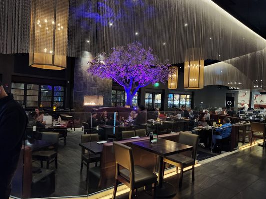 Okura Robata Grill & Sushi Bar by null