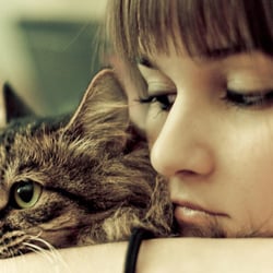 Heavenly Hooves Animal Connection - Animal Communication & Telepathy for dying or dead pets
